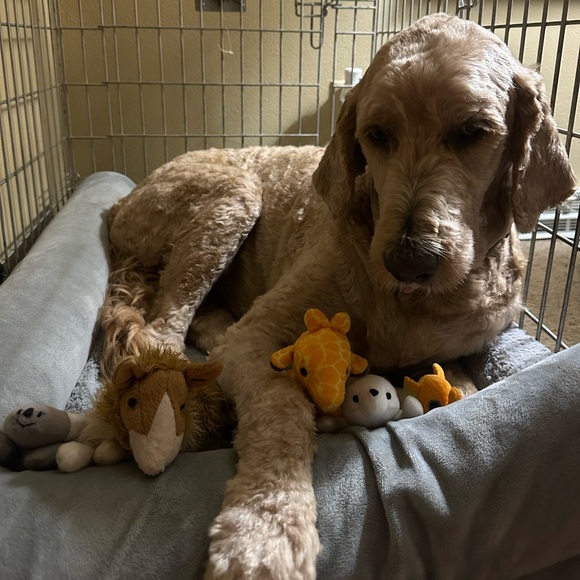 READ ABOUT MY CLOSET! - Picture 3 of 5